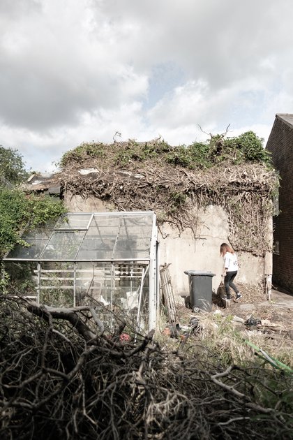 Szczepaniak Teh Twiss Green