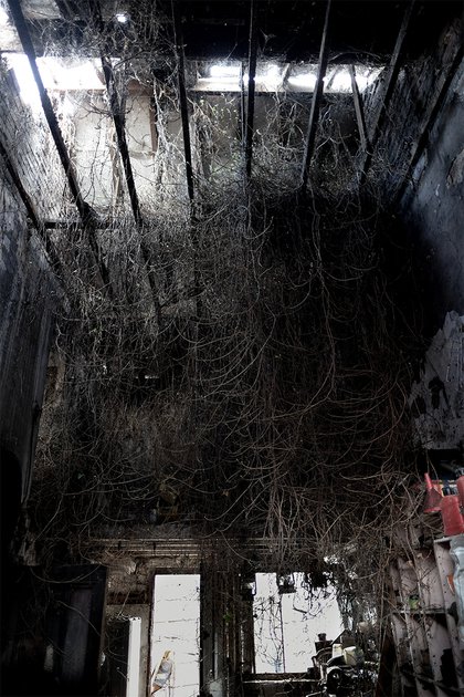 Szczepaniak Teh Twiss Green 05