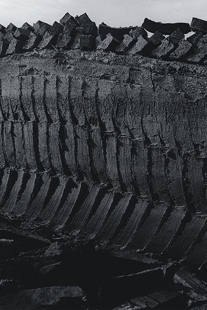 Szczepaniak Teh Twiss Green 06