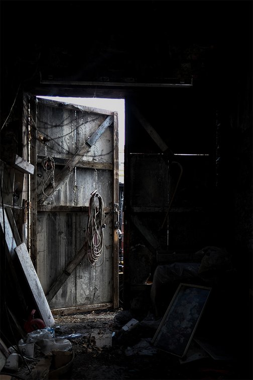 Szczepaniak Teh Twiss Green 01