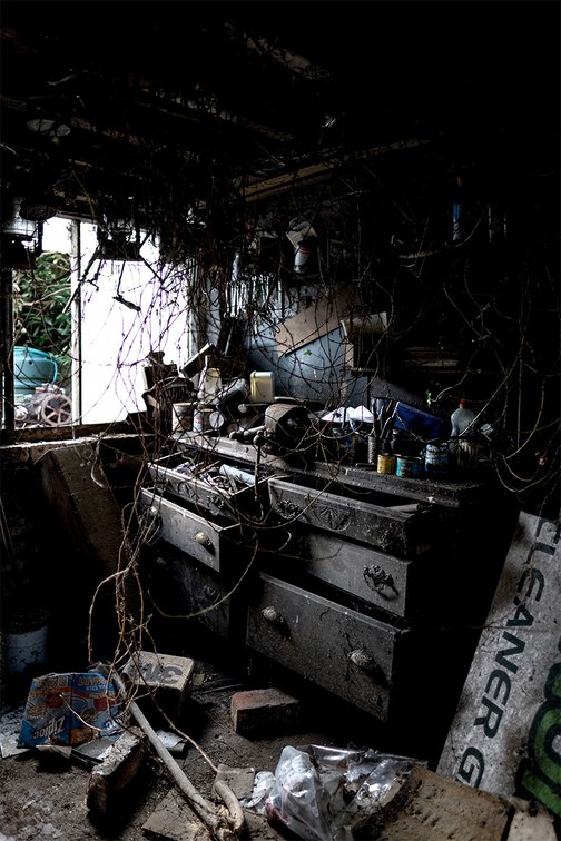 Szczepaniak Teh Twiss Green 04