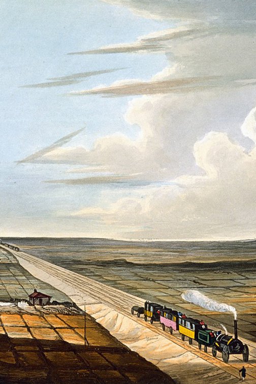 Szczepaniak Teh Twiss Green 07