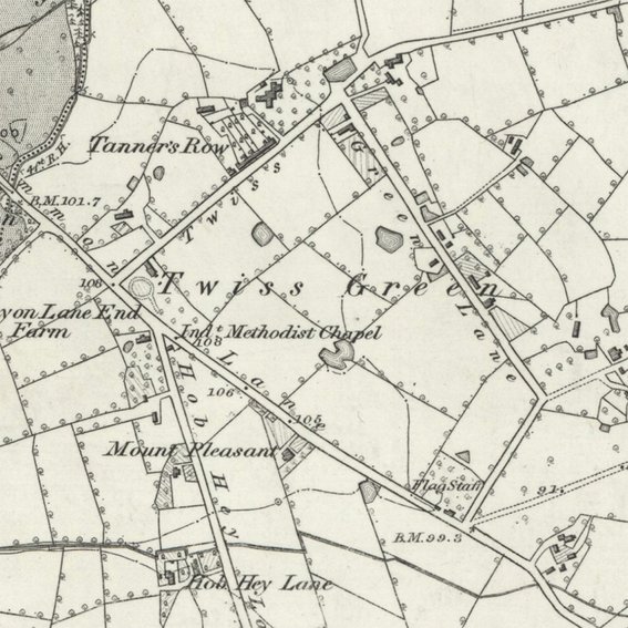 Szczepaniak Teh Twiss Green 08