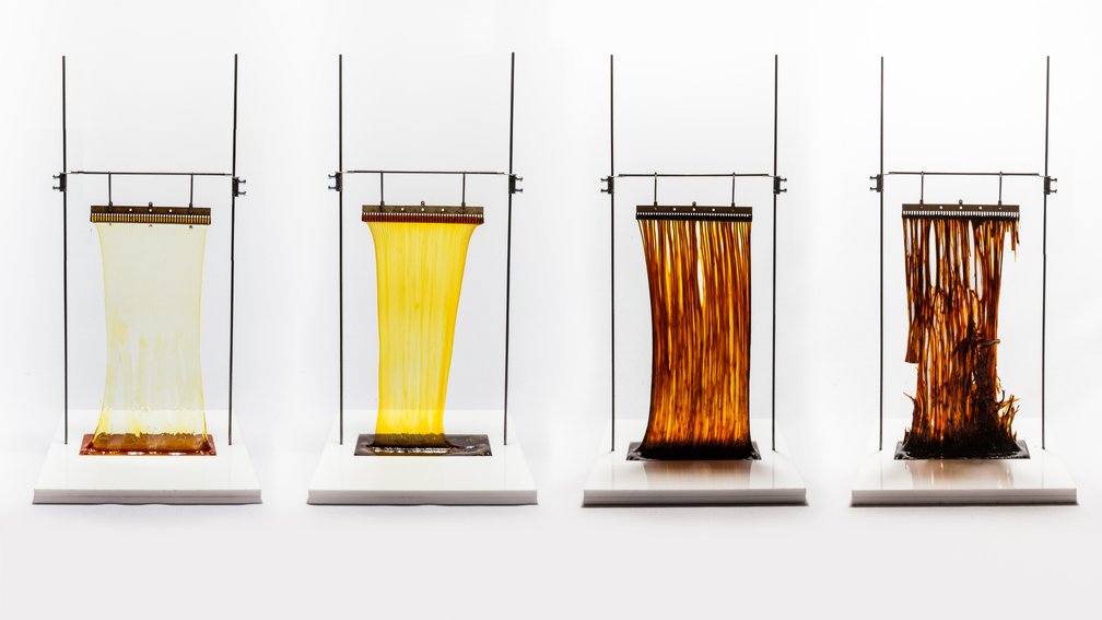 Szczepaniak Astridge Caramel Rooms Architecture 6