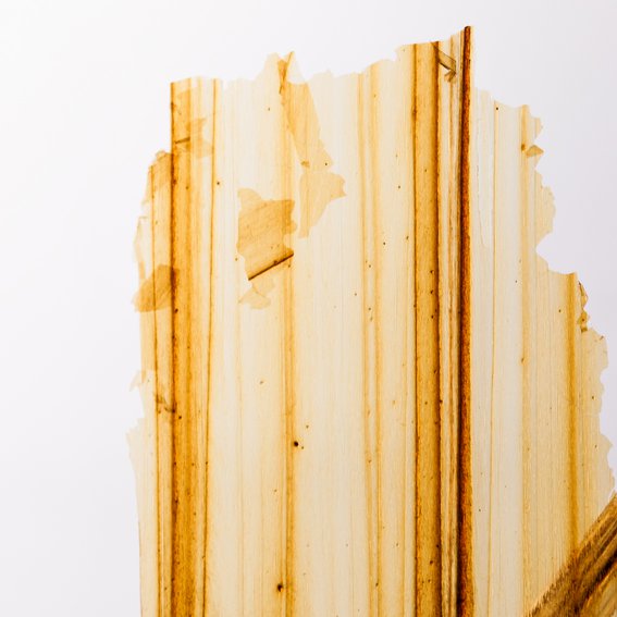 Szczepaniak Astridge Caramel Rooms Architecture 1