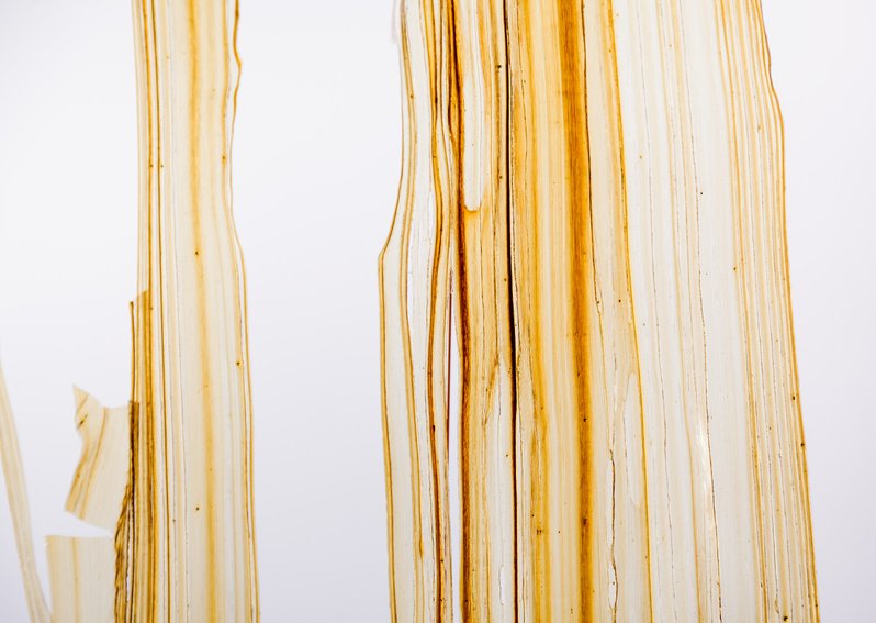 Szczepaniak Astridge Caramel Rooms Architecture 2