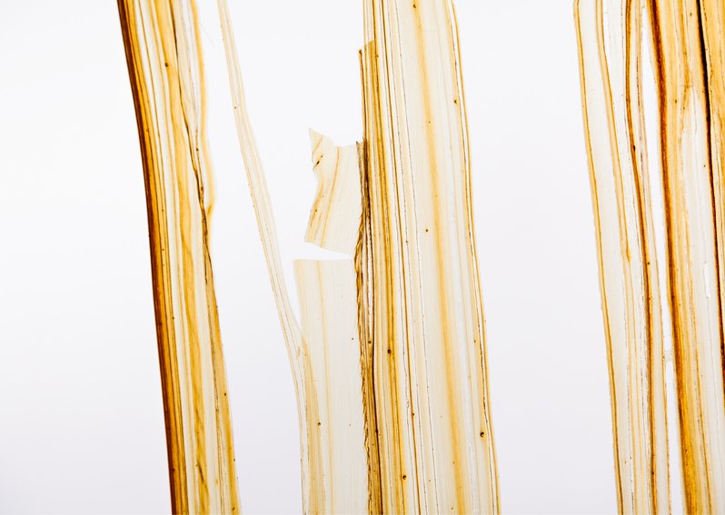 Szczepaniak Astridge Caramel Rooms Architecture 4