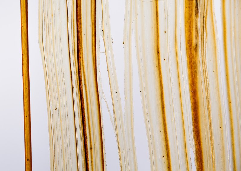 Szczepaniak Astridge Caramel Rooms Architecture 8